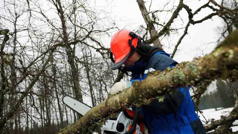 chainsaw safety helmet