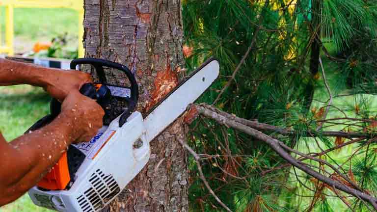 top handle chainsaw