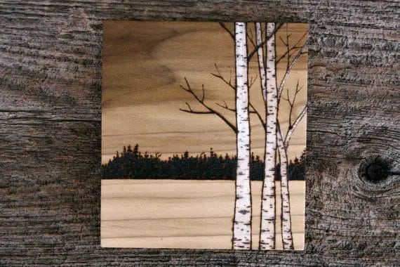can you burn birch wood