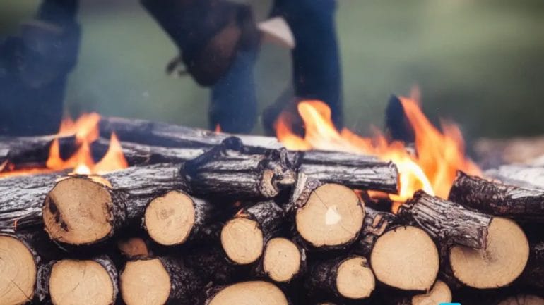 can you burn freshly cut wood
