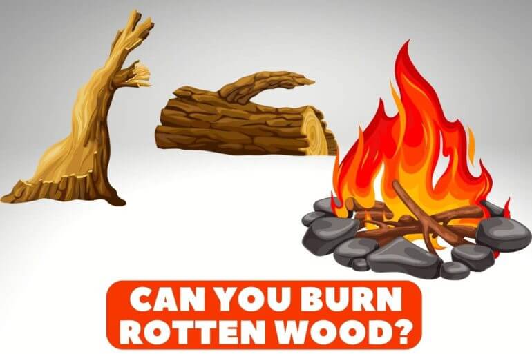 can you burn rotten wood
