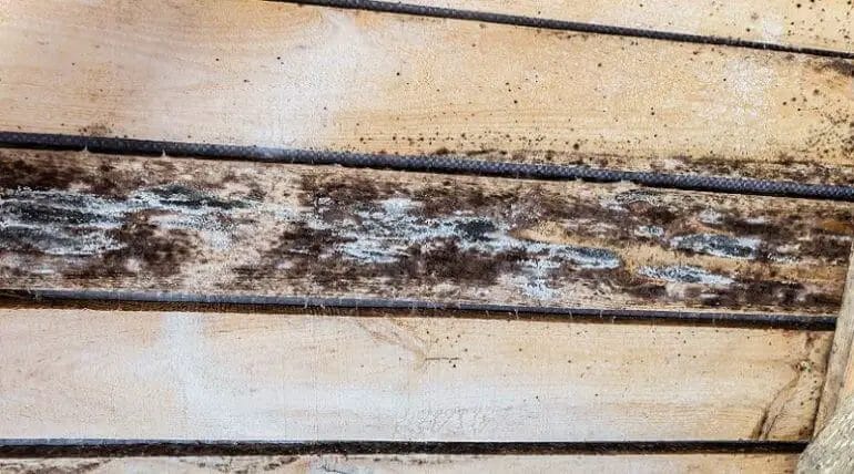 does bleach damage wood
