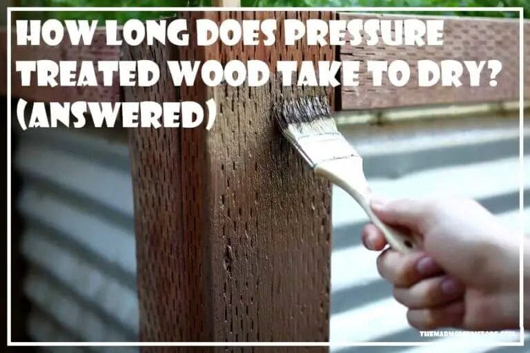 how long for pressure treated wood to dry
