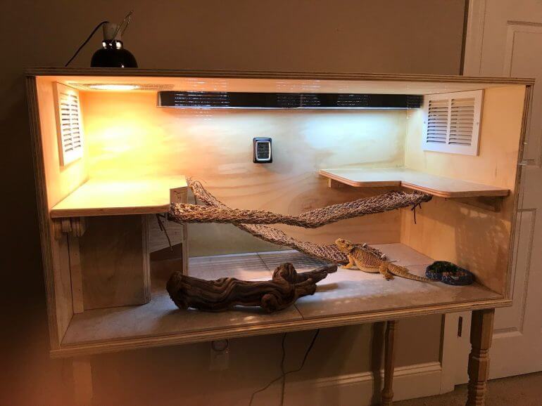 how to build a bearded dragon cage out of wood
