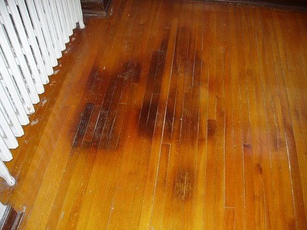 how to clean dog pee from wood floor
