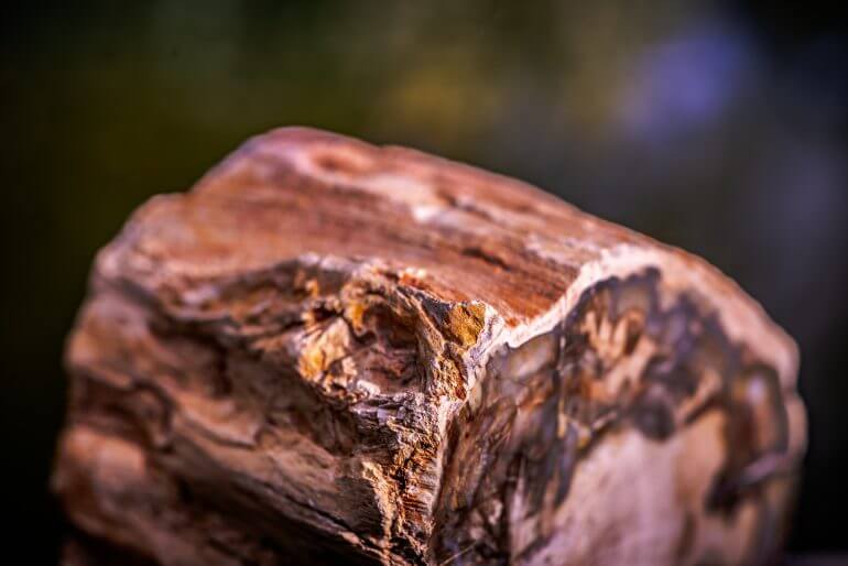 how to make petrified wood