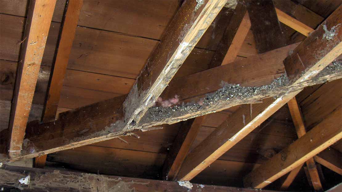 how to repair termite damaged wood
