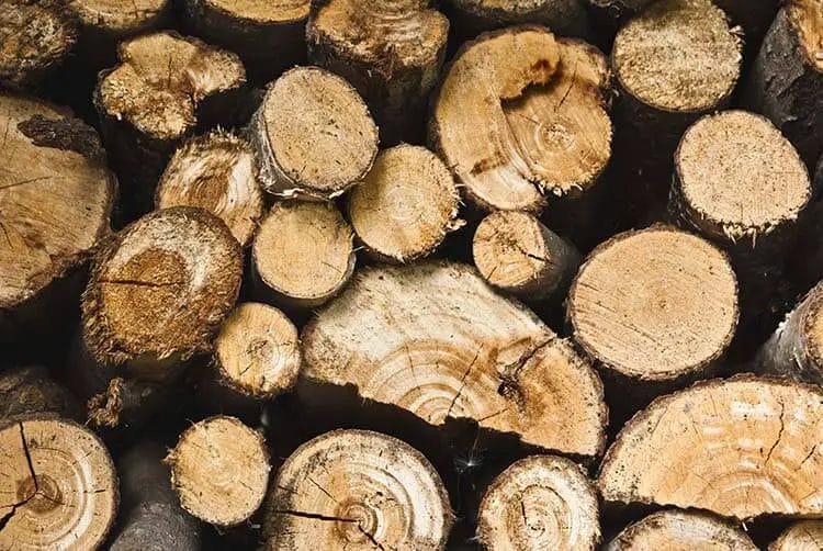how to tell if wood is dry enough to burn
