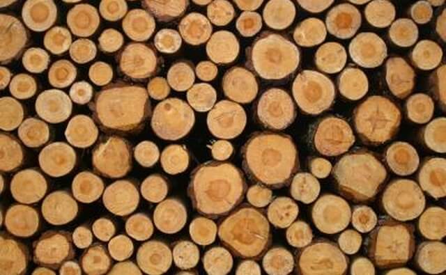 is cedar wood good for burning
