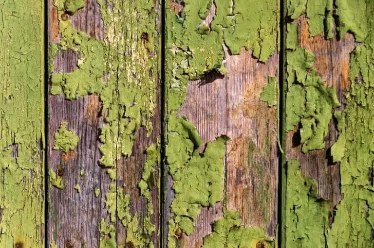 is green mold on wood dangerous
