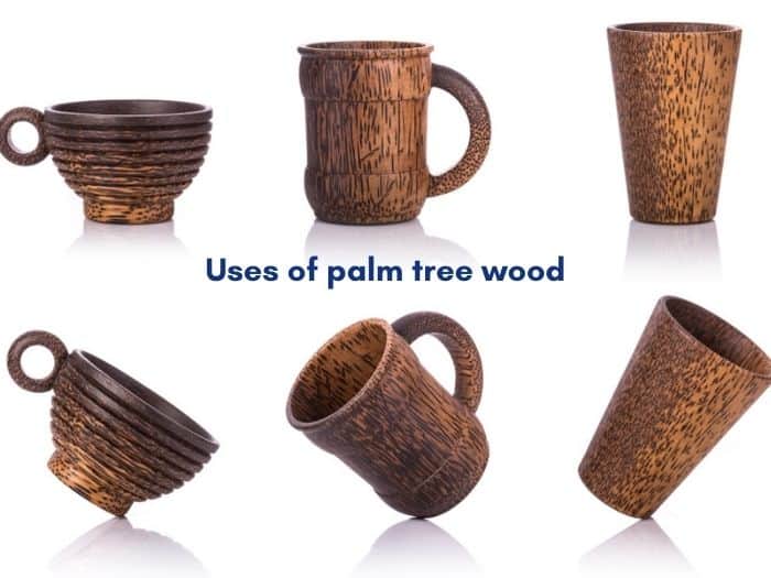 is palm tree wood good for anything
