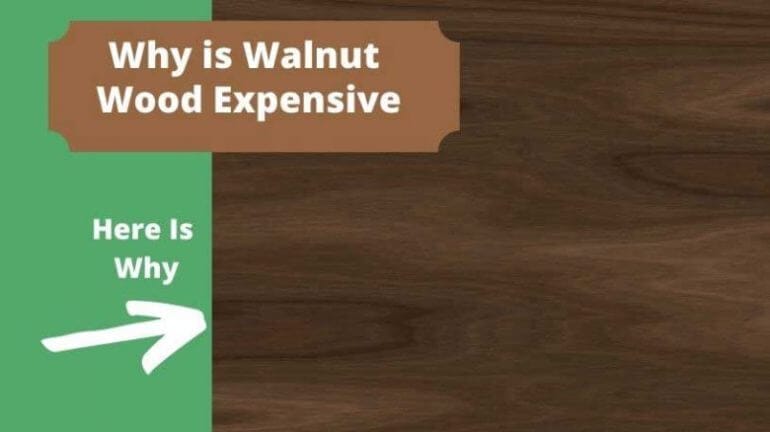 is walnut expensive wood
