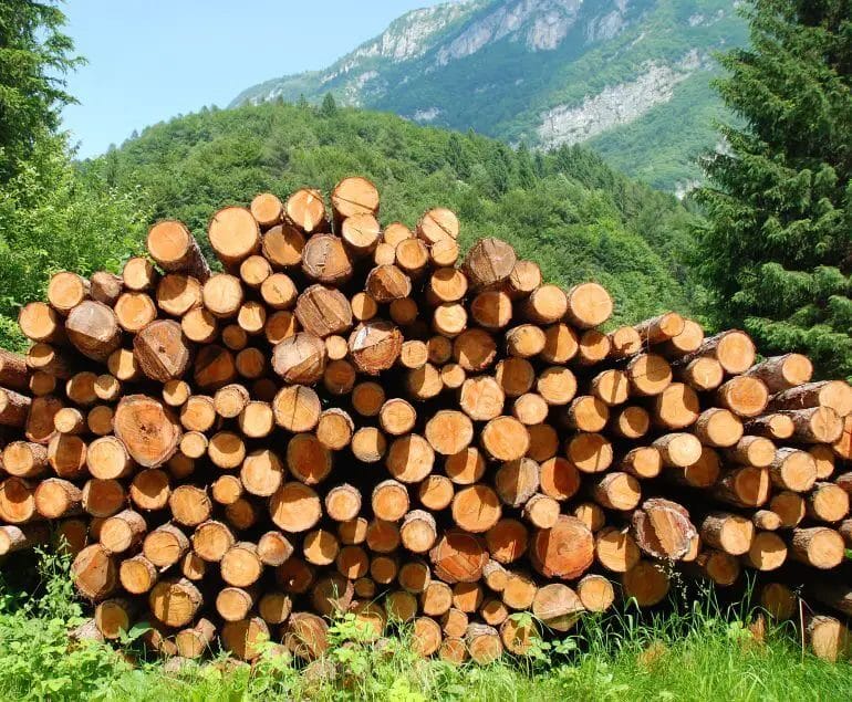 is wood a nonrenewable resource
