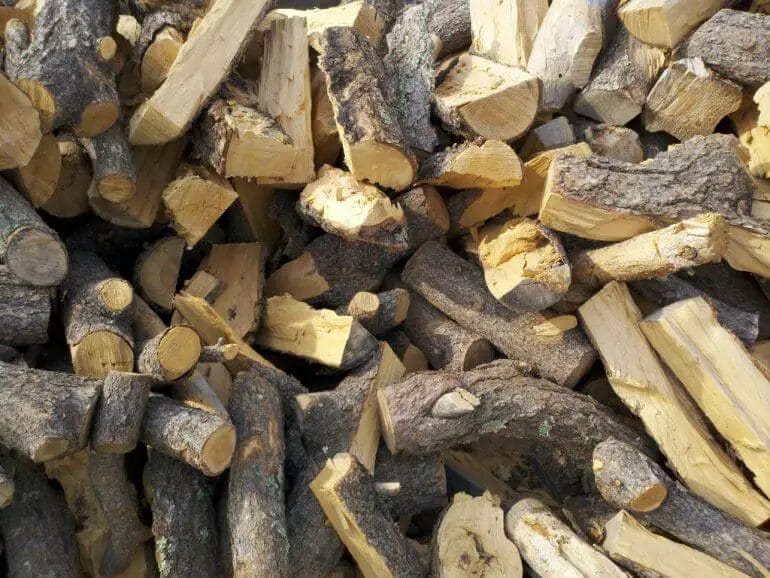 what is pinion wood
