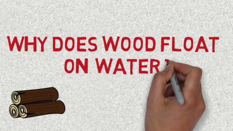 why does wood float
