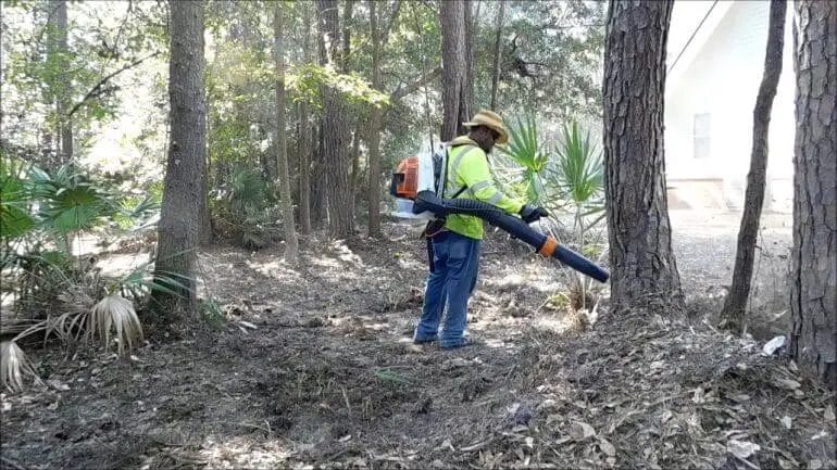 how to clear underbrush in woods
